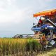 Agricultural